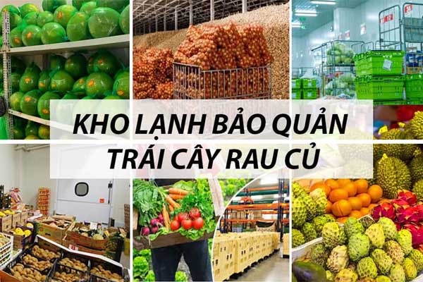 4 lợi ích và những lưu ý khi sử dụng kho lạnh bảo quản hoa quả
