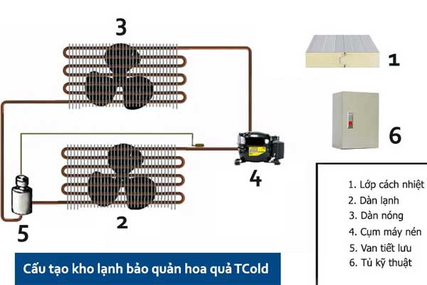 Cấu tạo và nguyên lý hoạt động kho lạnh bảo quản hoa quả