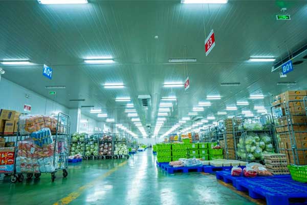 Lợi ích của kho lạnh bảo quản trái cây và rau củ